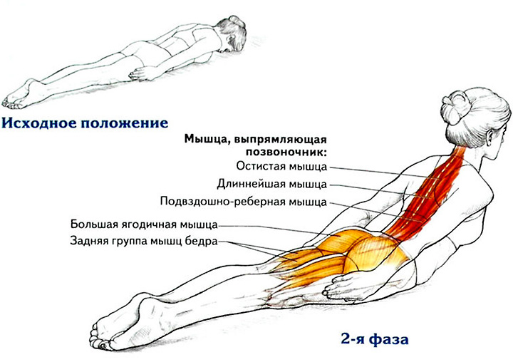 Упражнение для королевской осанки Упражнение для королевской осанки