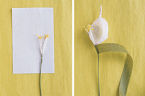 Цветы из папиросной бумаги своими руками